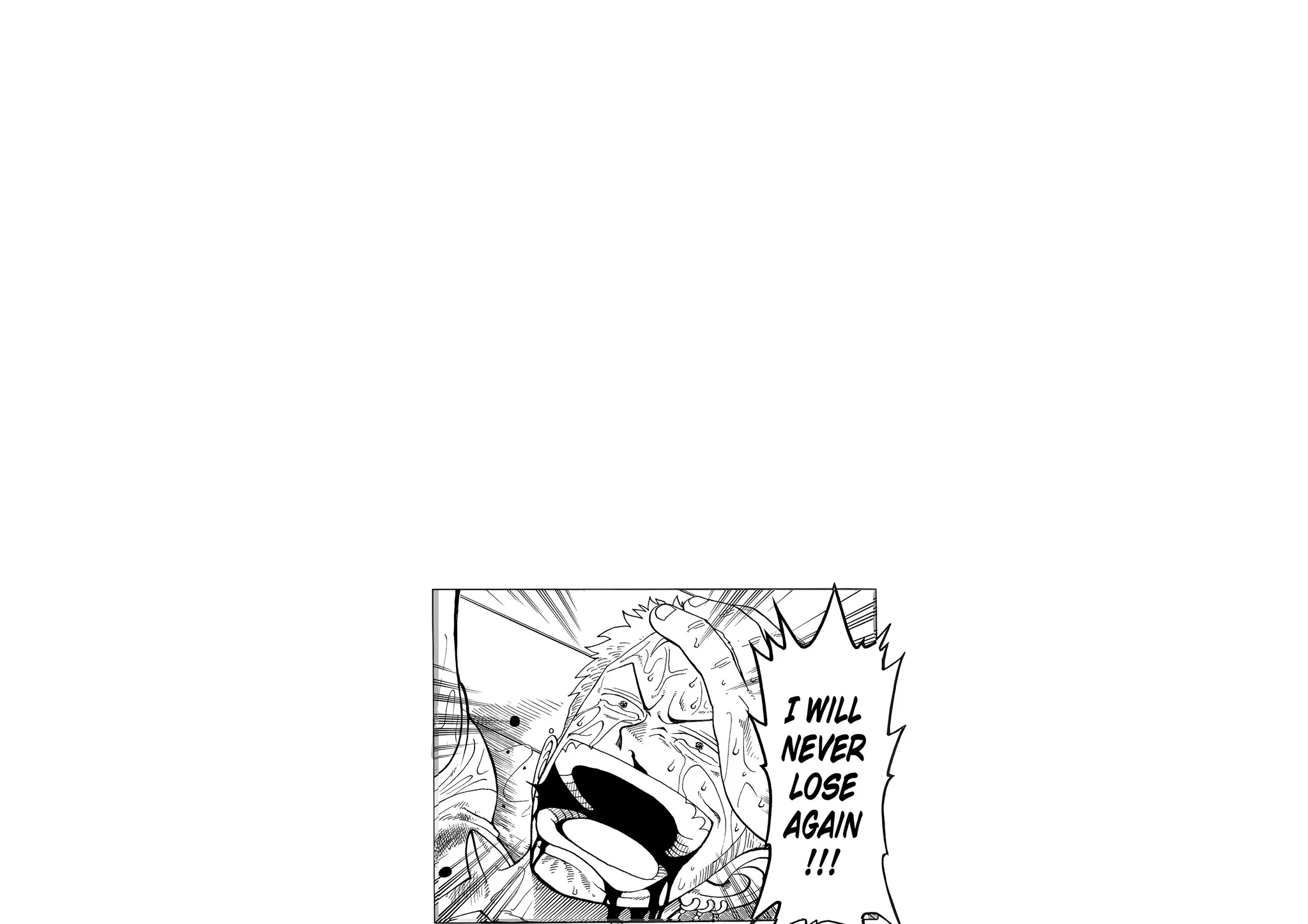Zoro – I Will Never Lose Again, lights on. In daylight, a single manga panel sits in the corner of the page.