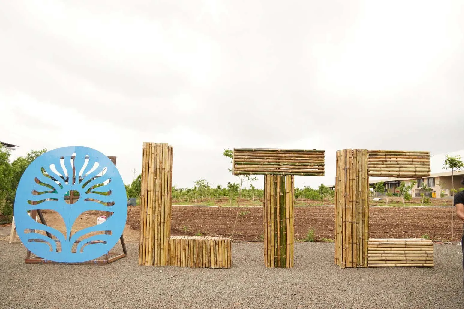 Five-foot bamboo letters spelling LTC beside the blue laser-cut emblem on its steel frame